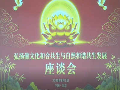 此维度之佛教——何以超越一般宗教形态升华为伟大中华文明的重要组成部分，何以成为中国梦和人类命运共同体的精神力量（二）