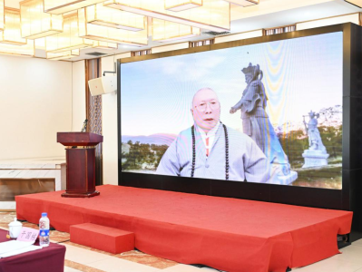 《文明互鉴之人类命运共同体文化专题座谈会》薄伽梵 智及维摩诘 宗师主旨发言 (二)