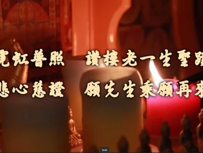 【DVD】霓虹普照 赞楼老一生圣迹 悲心慈证 愿先生乘愿再来(II)
